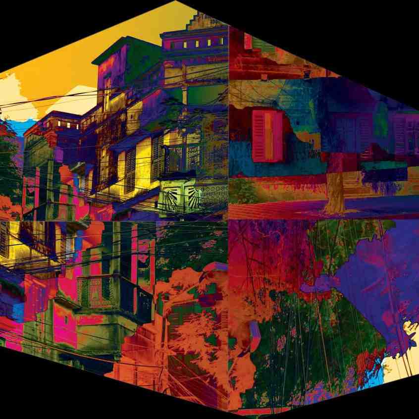 The Anablep Conundrum Series