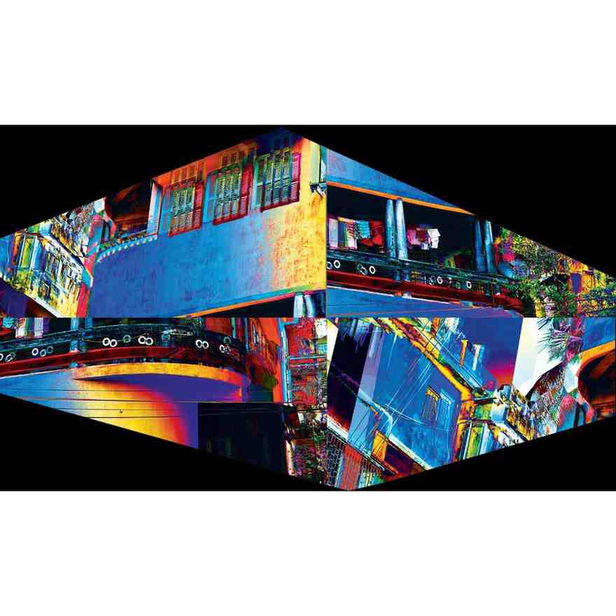 The Anablep Conundrum Series