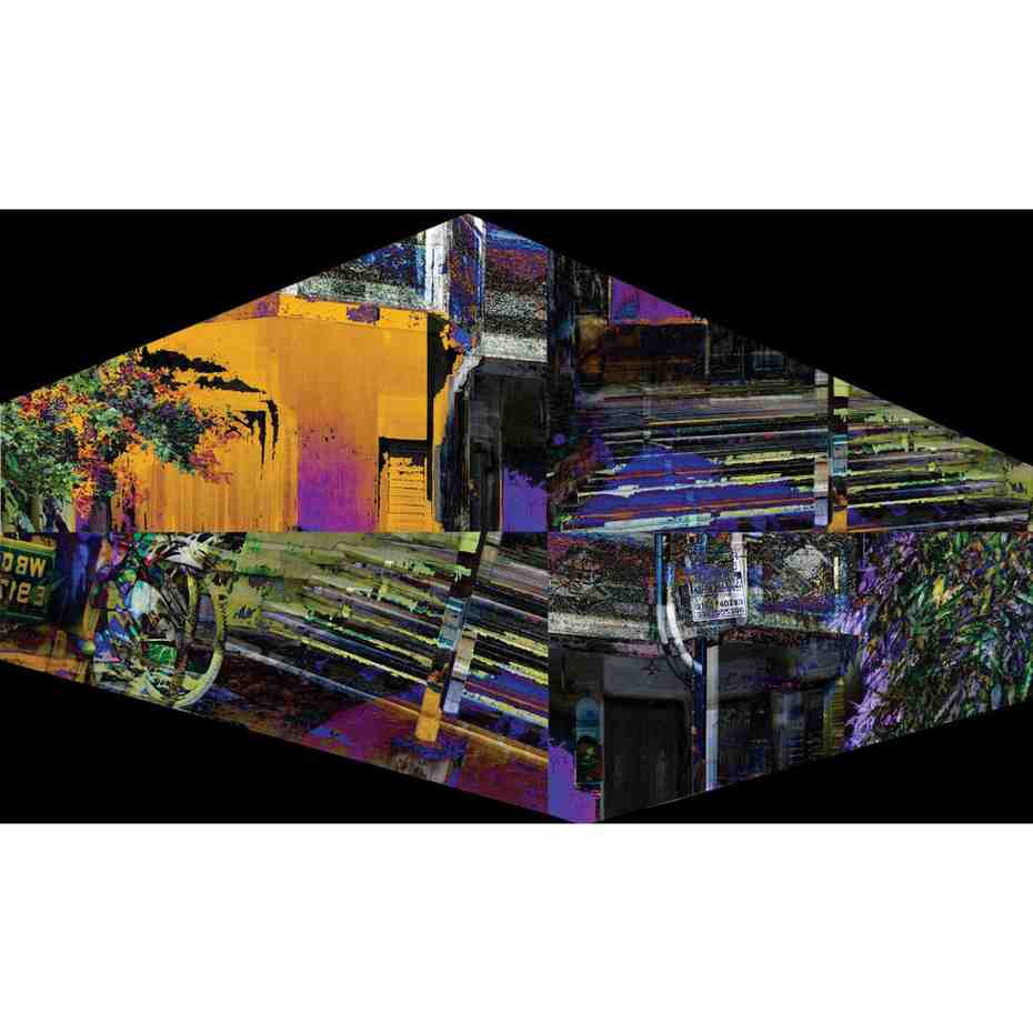 The Anablep Conundrum Series