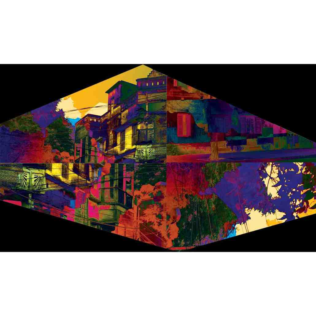 The Anablep Conundrum Series